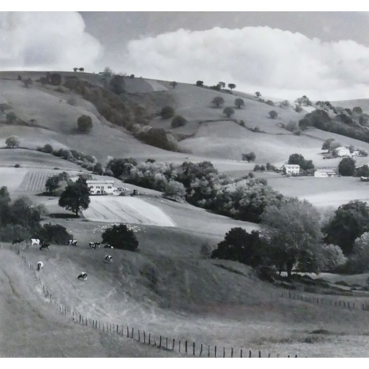 Don Collins ''Basque Farm, Perineese Mountain'' (France) Silver Gelatin