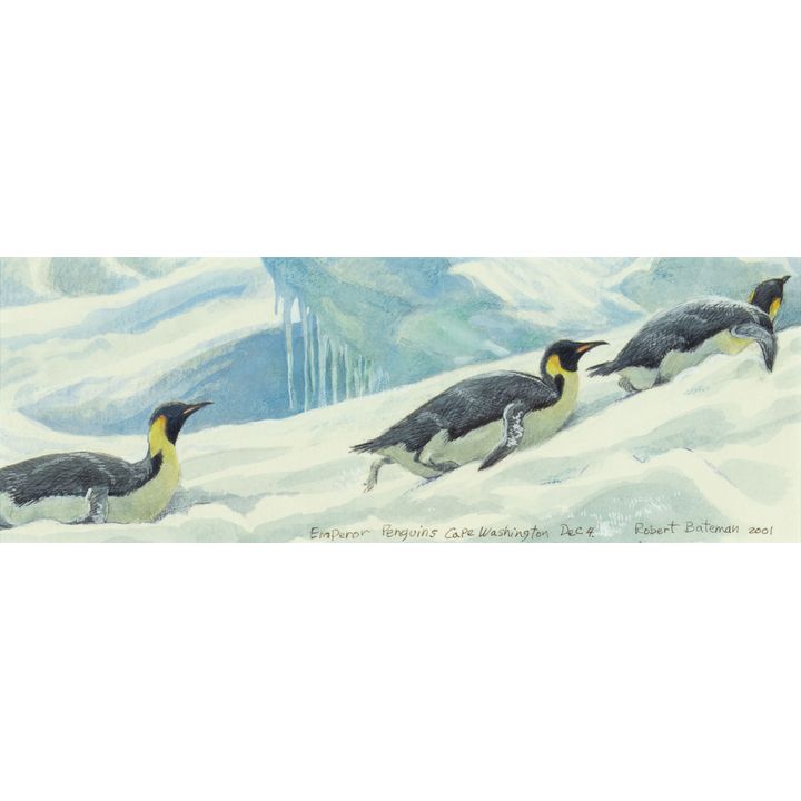Robert Bateman (1930- ), Emperor Penguins, 2001
