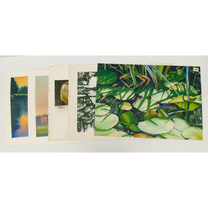 5pc Kent Lovelace Assorted Prints & Test Prints