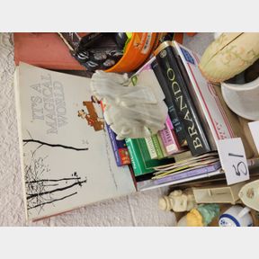 Calvin and Hobbs book, stone horse bookends and other books