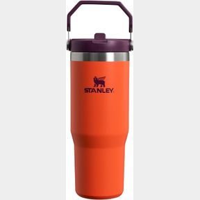STANLEY ICEFLOW STAINLESS STEEL TUMBLER VACUUM INSULATED WATER BOTTLE FOR HOME, AND CAR REUSABLE CUP WITH STRAW LEAK RESISTANT FLI