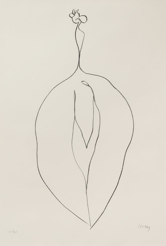 Ellsworth Kelly
(American, 1923-2015)
Seaweed (Algue) from Suite of Plant Lithographs, 1965-66