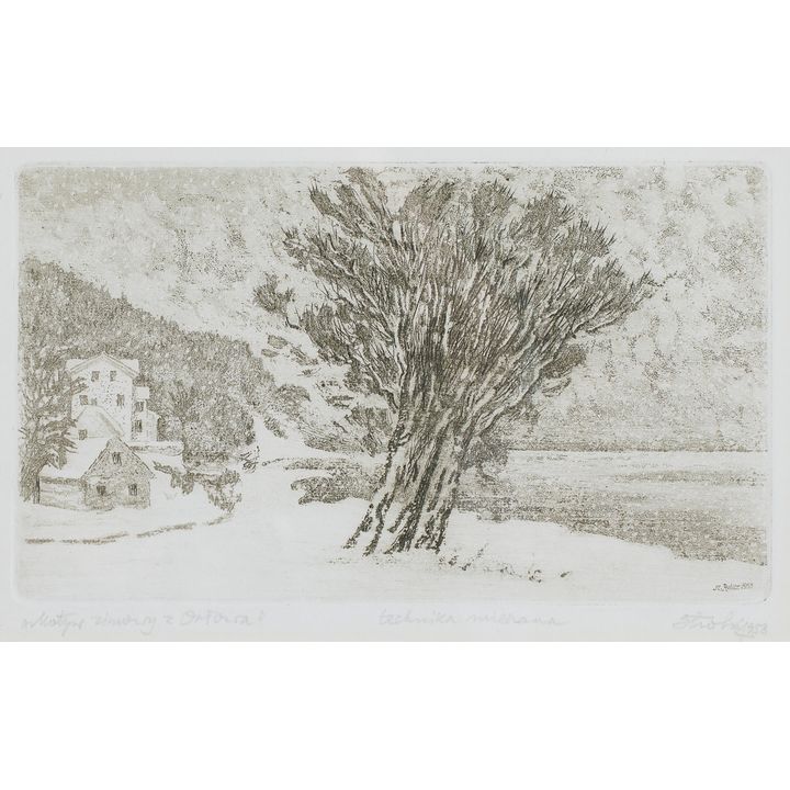 Stanisław Rolicz | Motyw zimowy z Orłowa