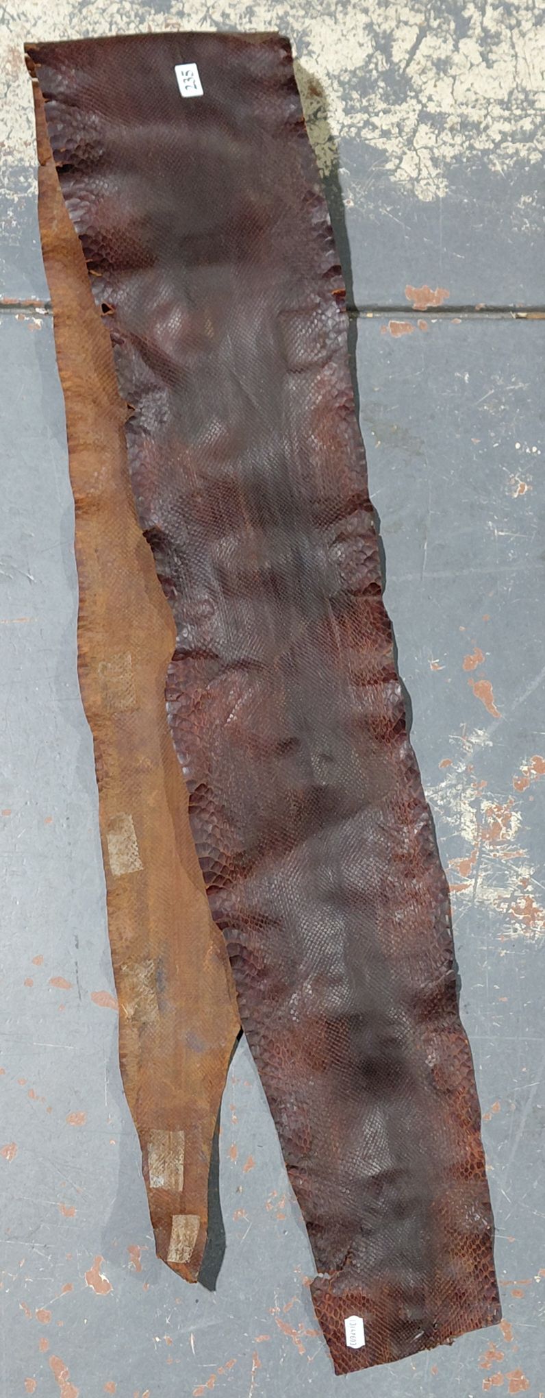235 · PYTHON SKIN