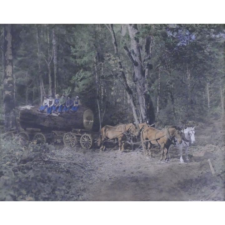 Large Darius Kinsey Hand Tinted Logging Photograph