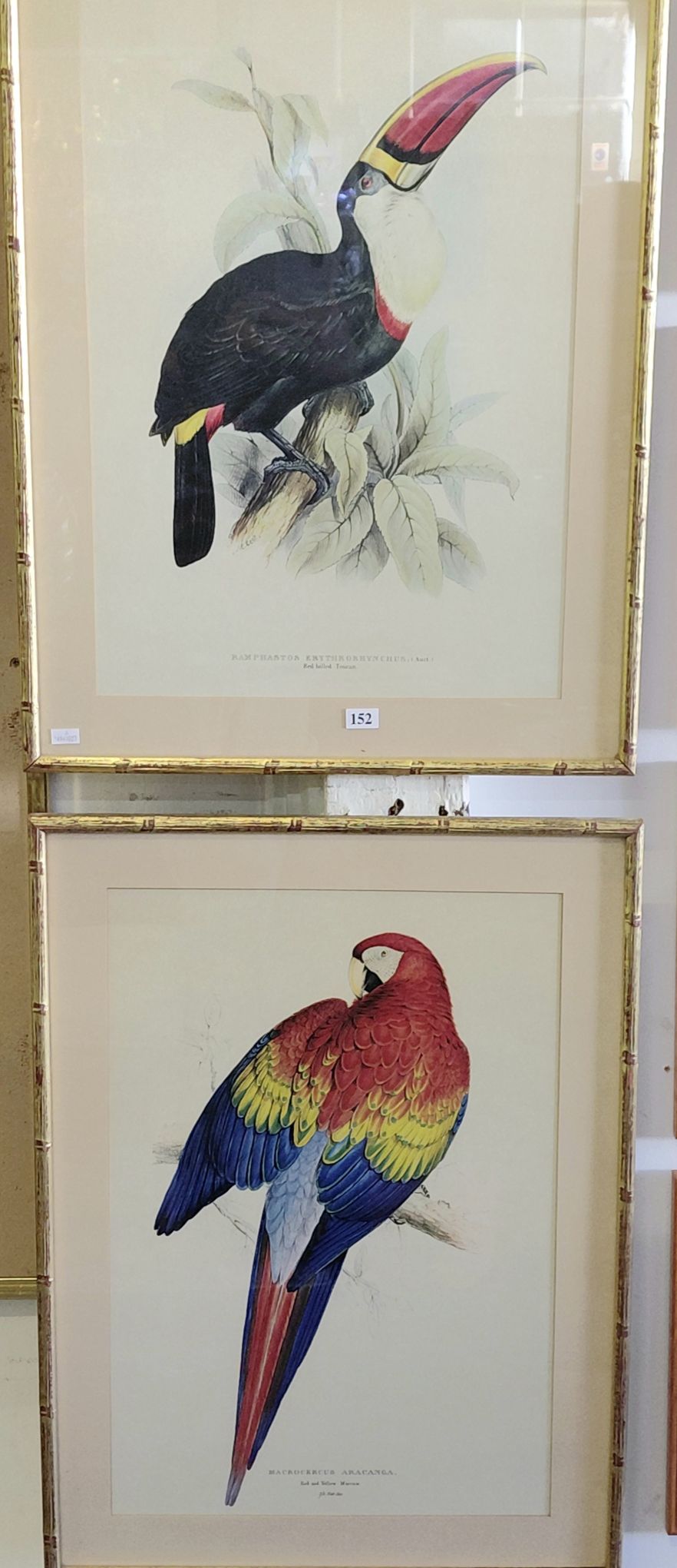 Pair Of Bird Prints