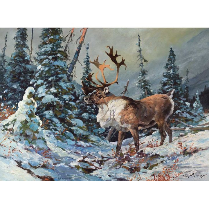Werner R. Plangg (1933-1994), Caribou in Snow