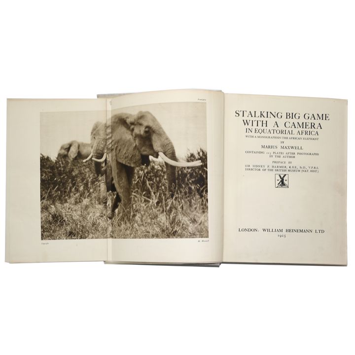 MAXWELL, MARIUS, Stalking Big Game with a Camera in Equatorial Africa.