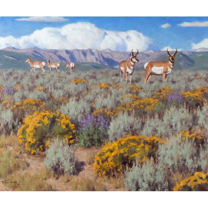 Tucker Smith (1940- ), Rabbit Brush, Lupine and Sage