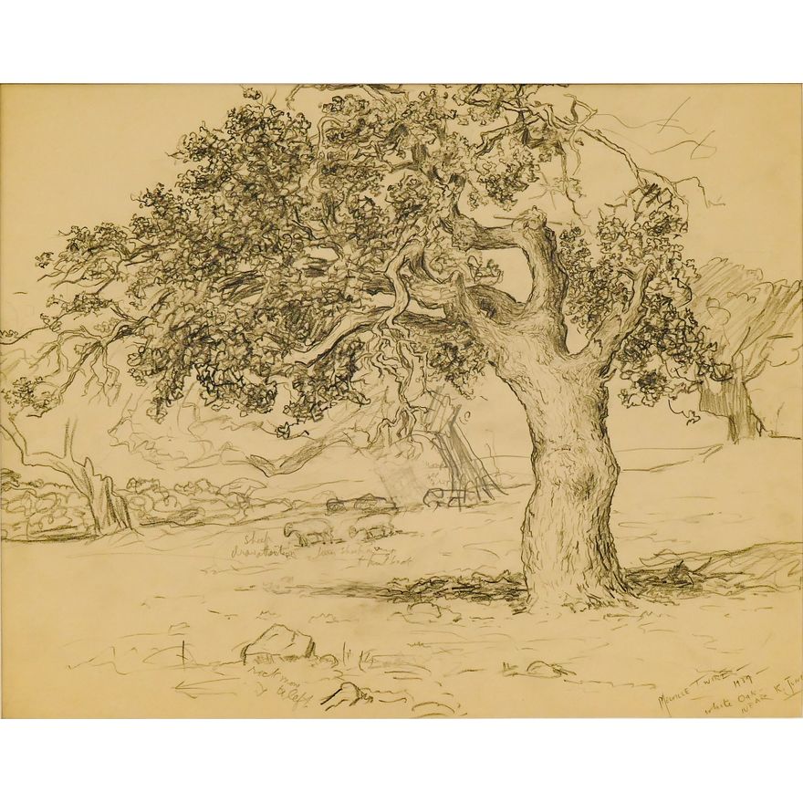 Melville Wire ''White Oak Near K. Junction'' 1939 Graphite