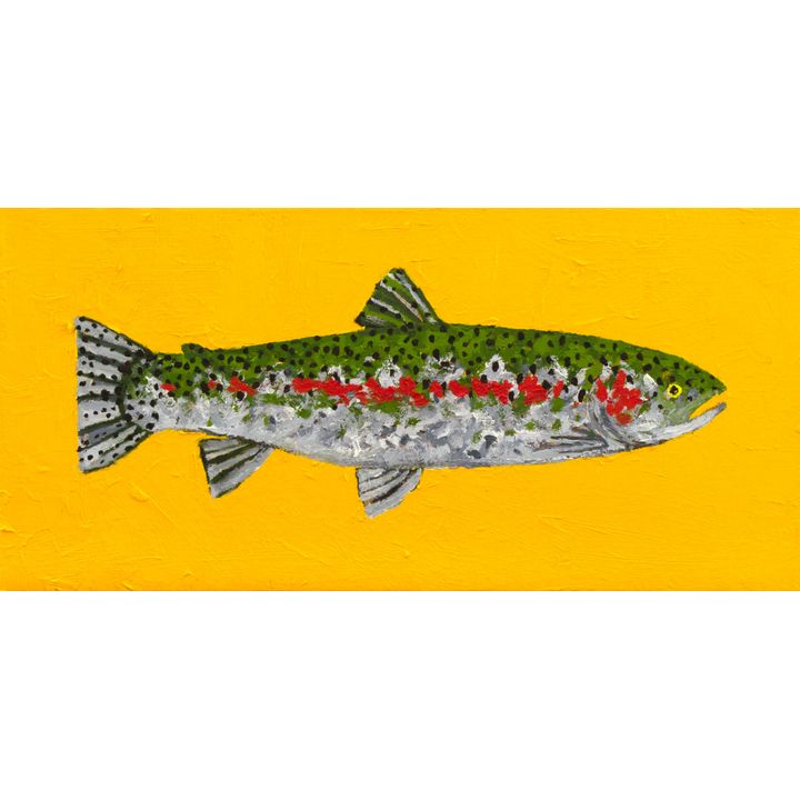 Jeb Todd (1970) Rat Lake Rainbow
