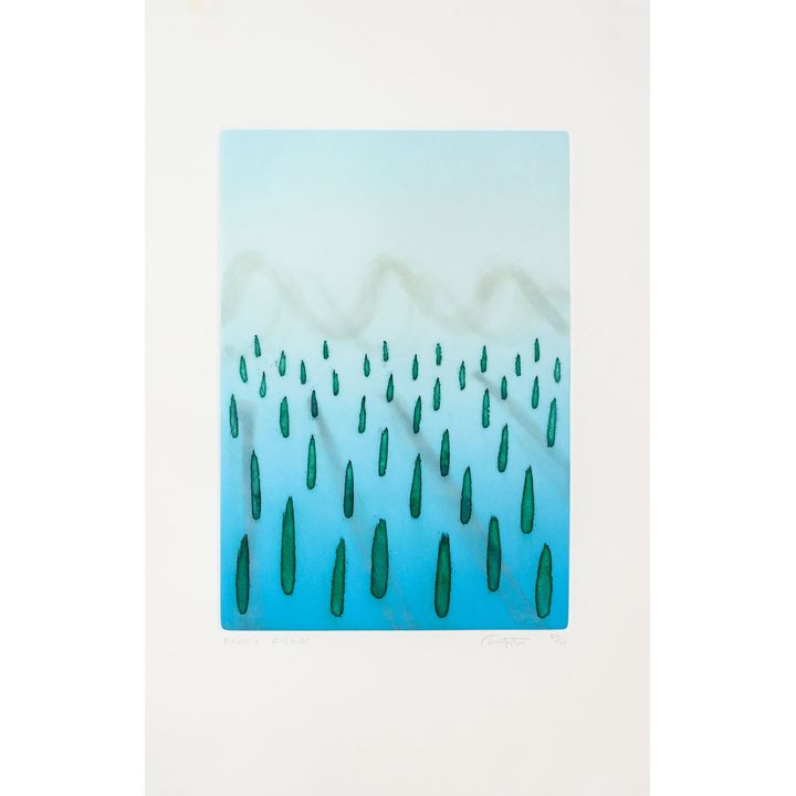 Rodney Fumpston 'Paddy Fields'