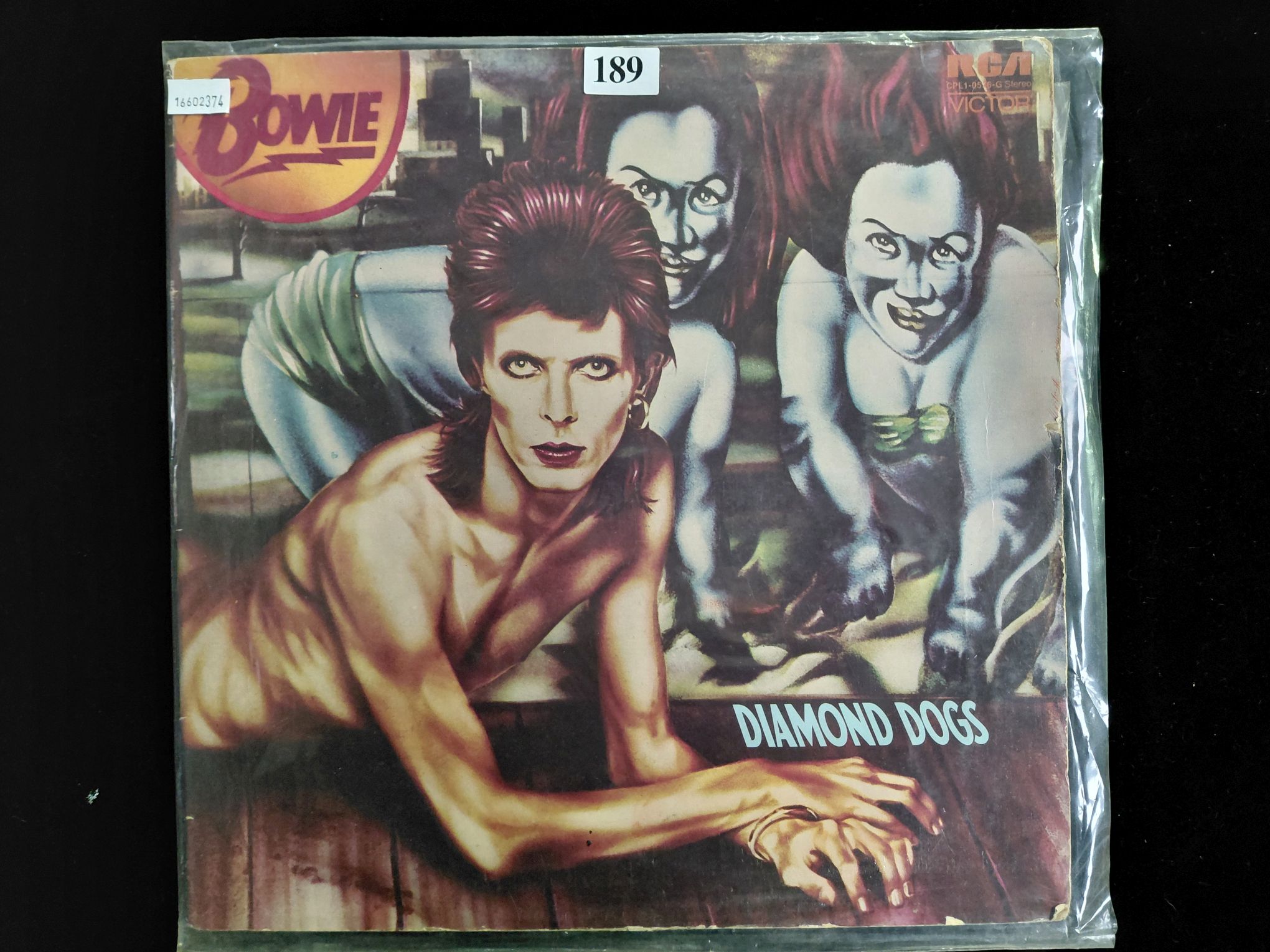 David Bowie
