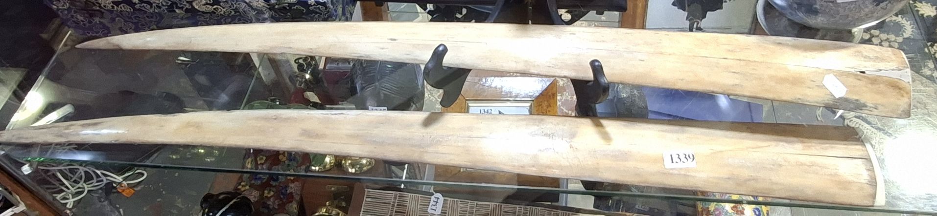 Swordfish Bills