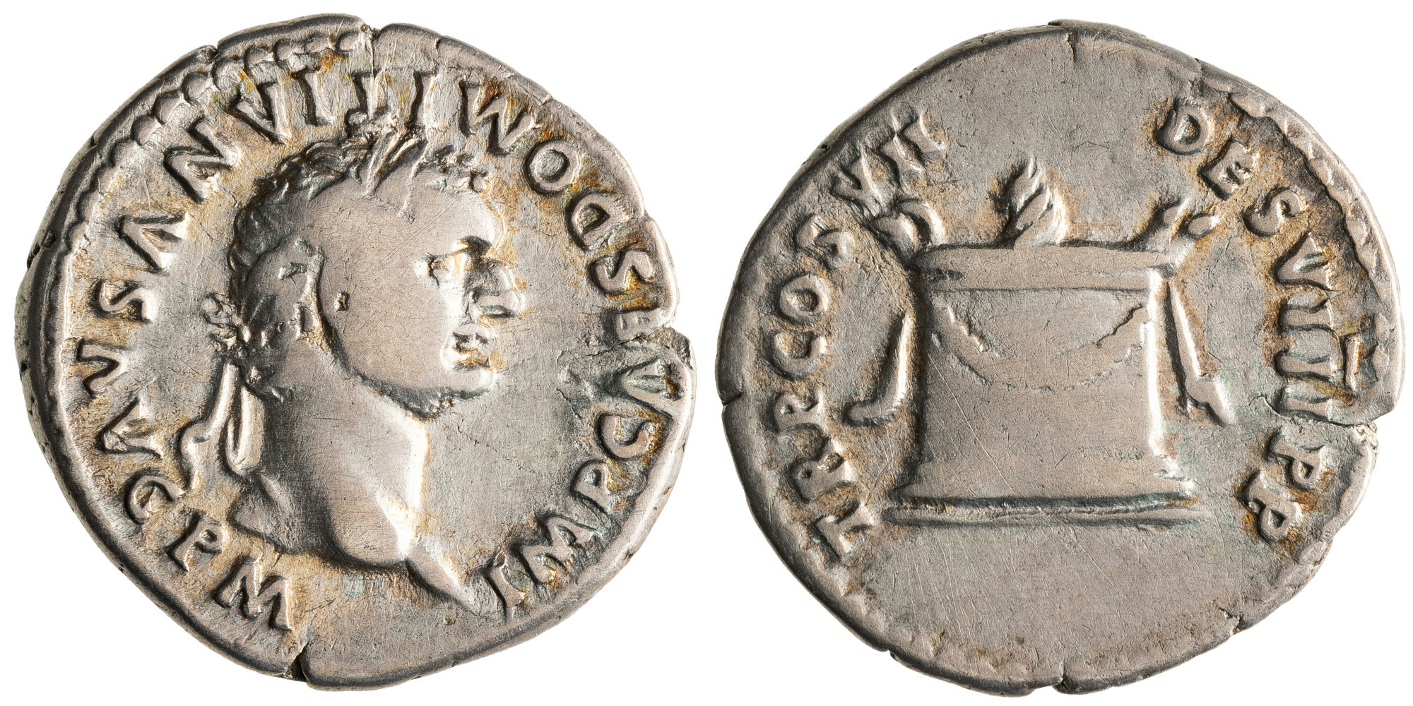 Domitian, Denarius, 81 AD, gVF