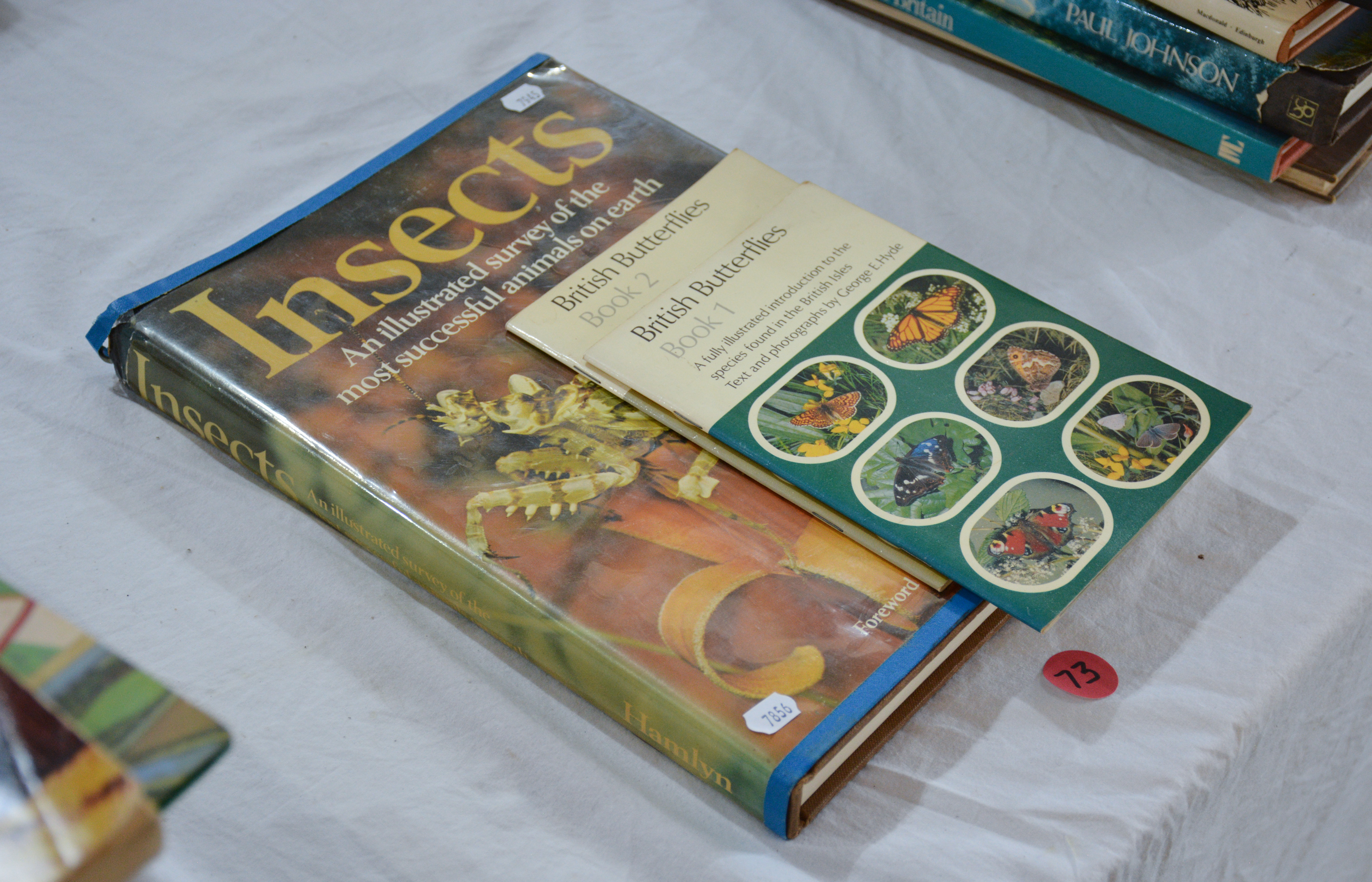 Insects and Butterflies — NZ auction result