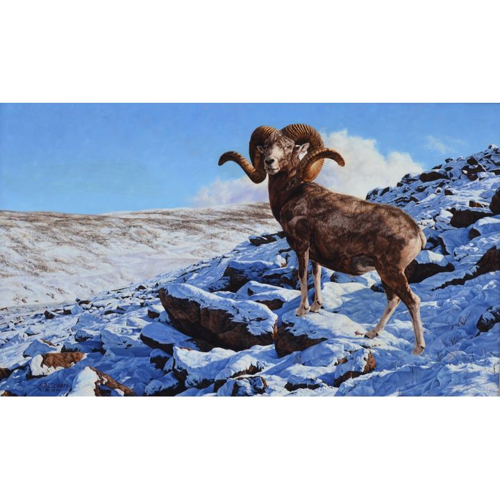 Greg Beecham (1954- ), Argali Sheep