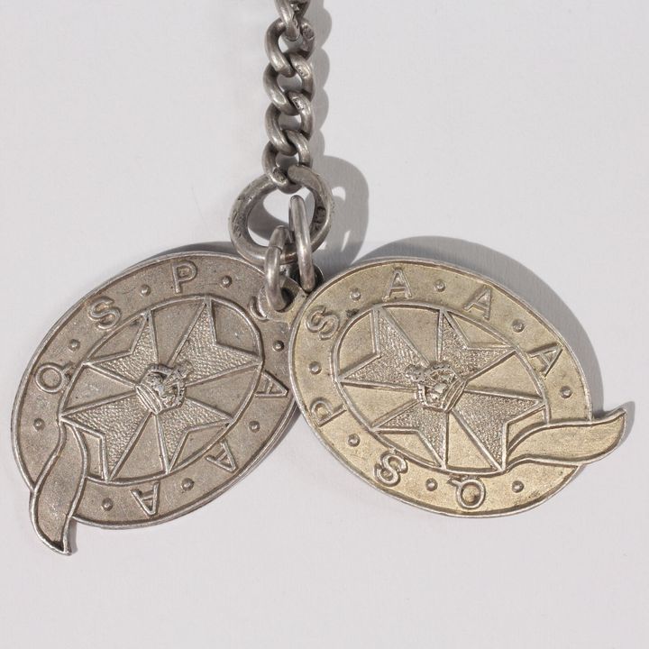 Q.S.P.S.A.A.A. Silver Medals, Silver Medal, 1926/27