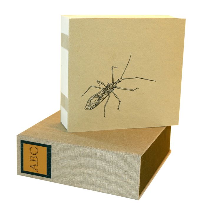 SGANTAS, JUDY FAIRCLOUGH, Of Bugs and Plants in a Northern Garden