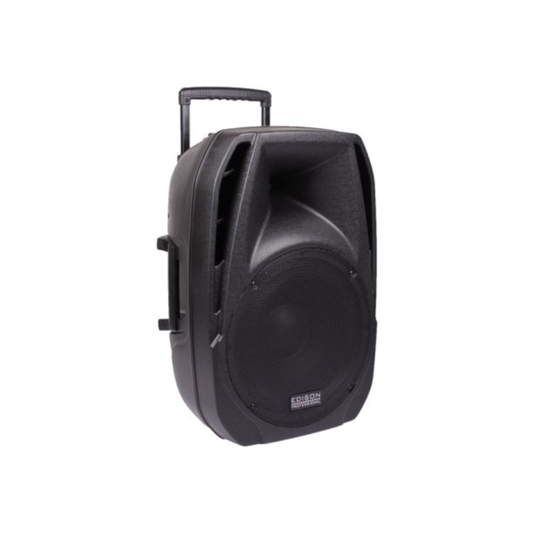 Edison Professional M2000 Party Speaker Vanzant Auctions