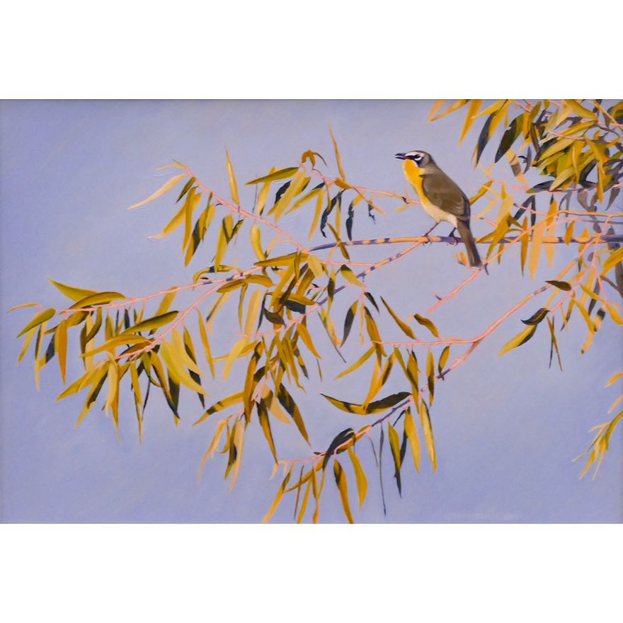 Laura Cunningham 'Yellow Breasted Chat' Oil on Paper Framed- 14x18''