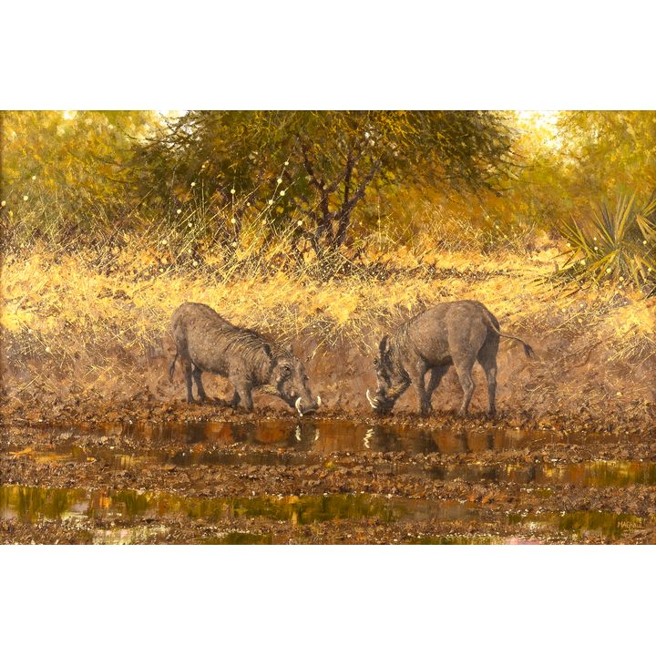 Michael Ghaui (1950- ), At the Waterhole, 1982