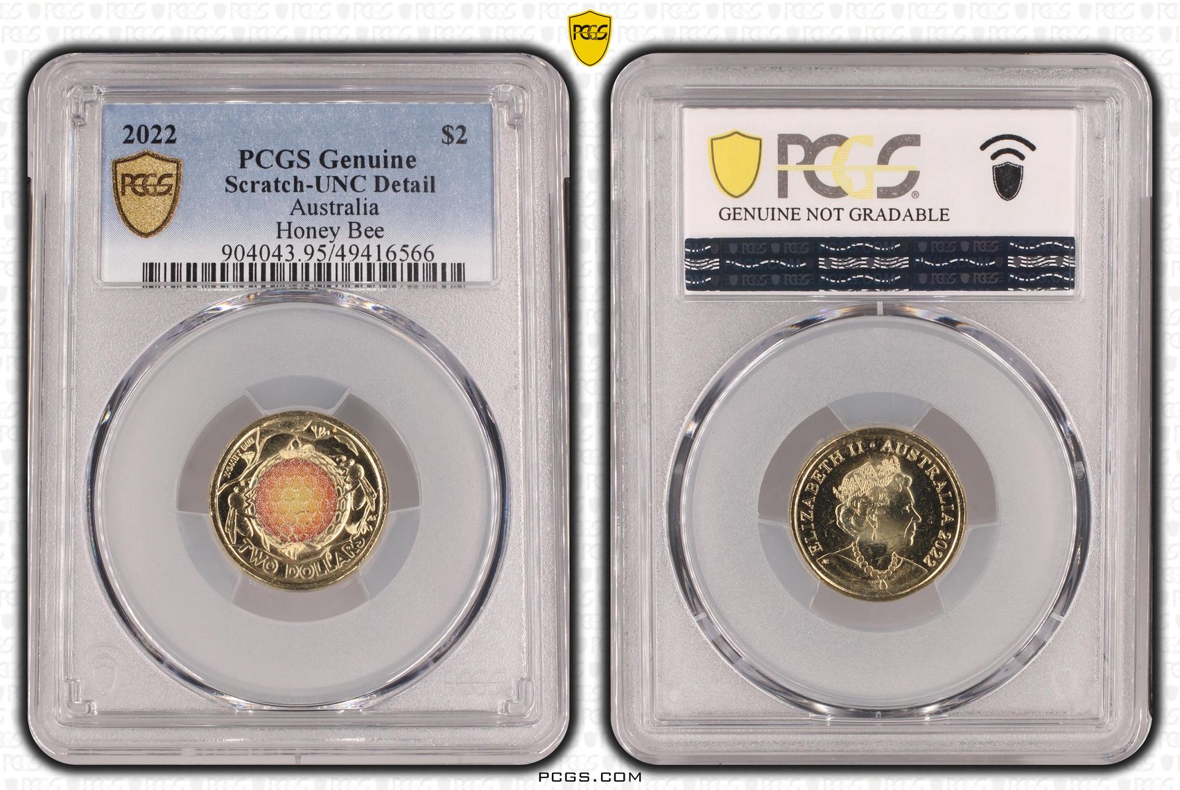 489 · Honey Bee Colorized, Two Dollar, 2022, PCGS Genuine - UNC Details (95 - Scratch)