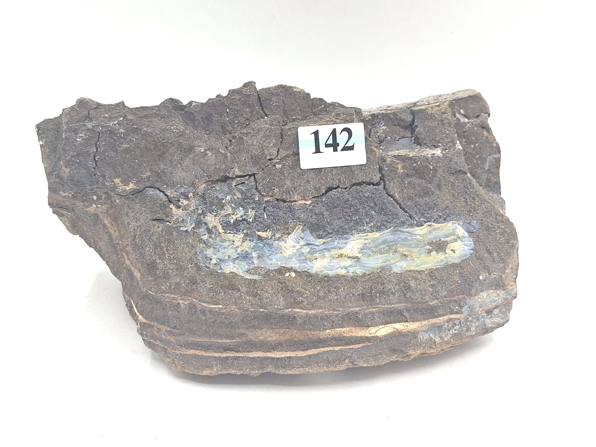 142 · QUEENSLAND BOULDER OPAL