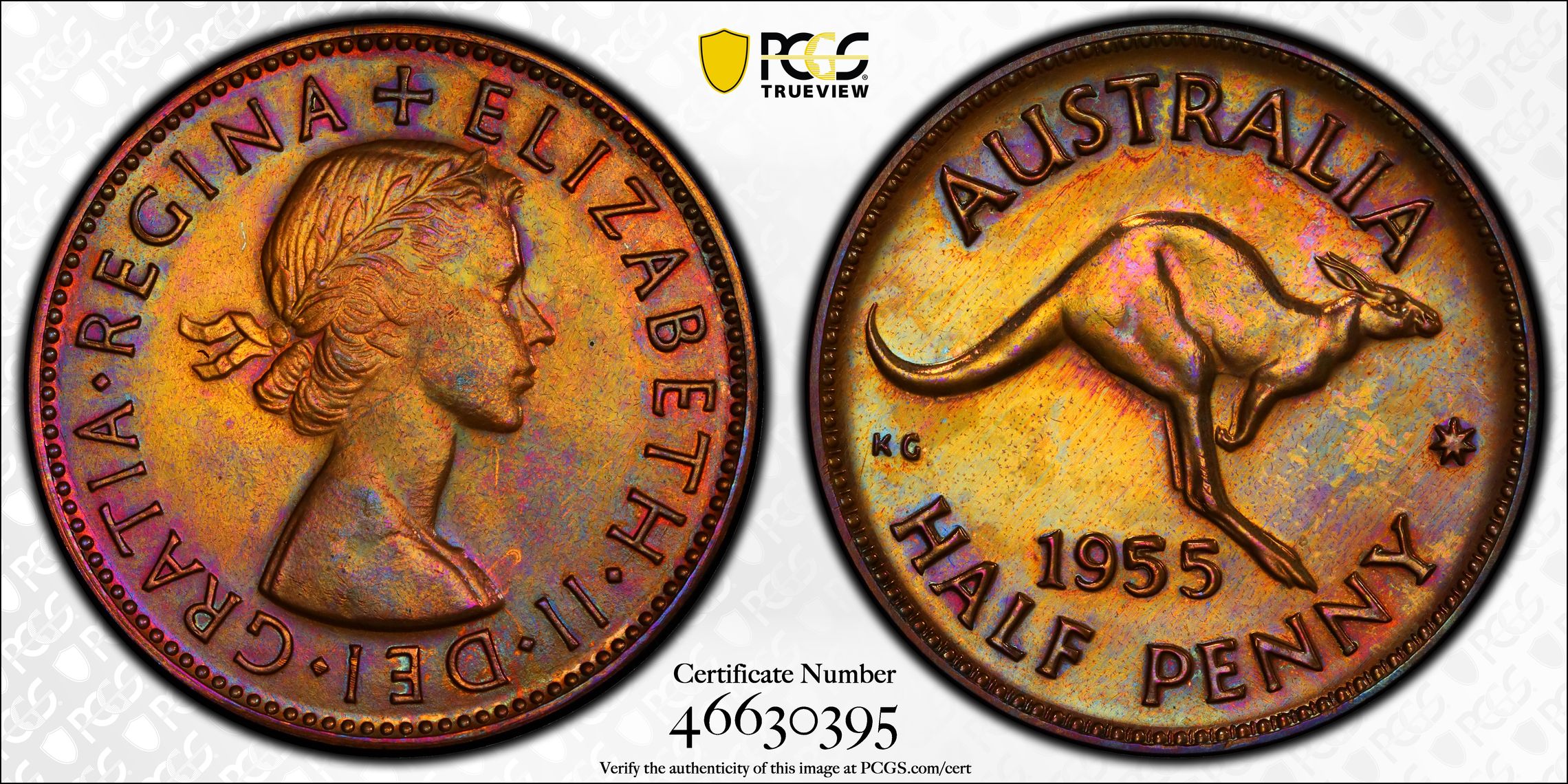 No Dot, Halfpenny, 1955(p) POP Report 3/0, PCGS PR 63BN