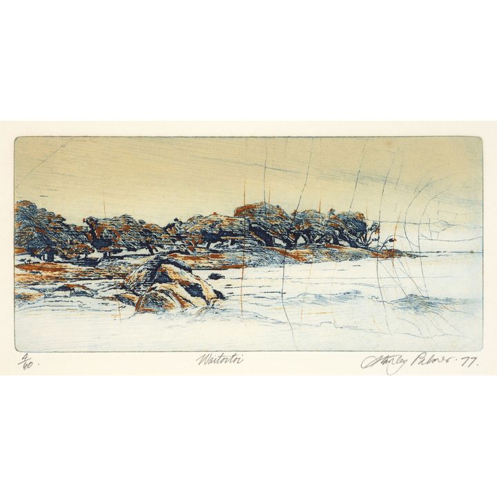 Stanley Palmer 'Waitoitoi'