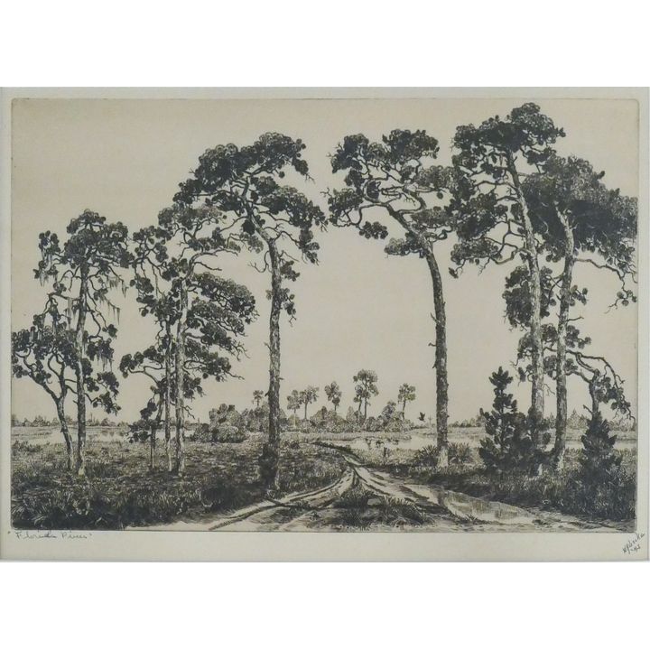 Walter R. Locke ''Florida Pines'' 1943 Signed Etching Matted 16''x20''