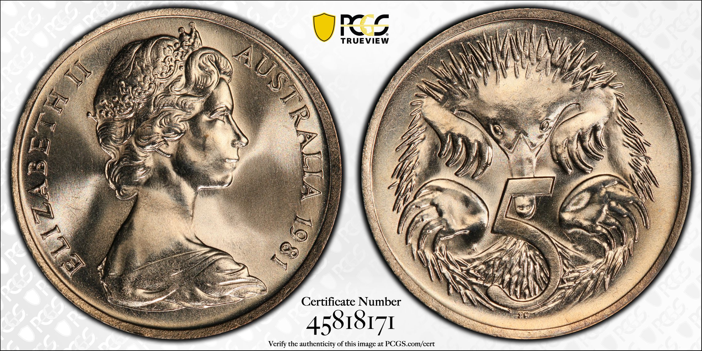 Five Cent, 1981, PCGS MS67