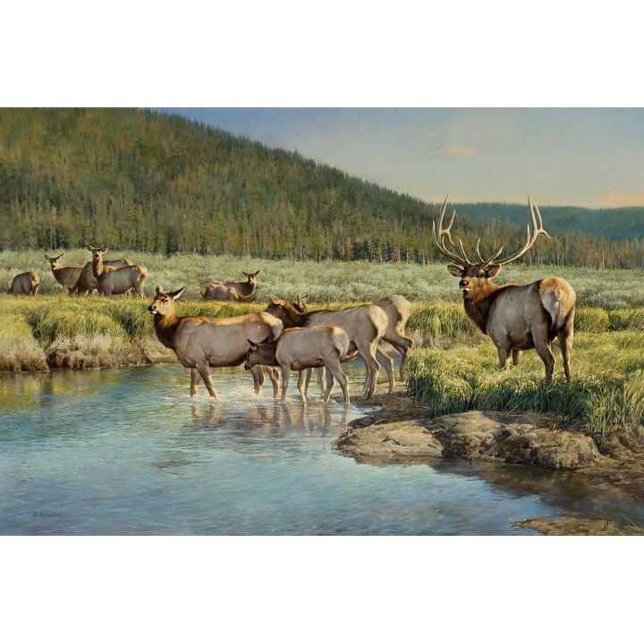 Nancy Glazier (1947- ), Watering His Herd
