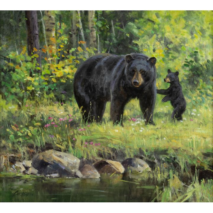 Ken Carlson (1937- ), Black Bear Sow and Cub