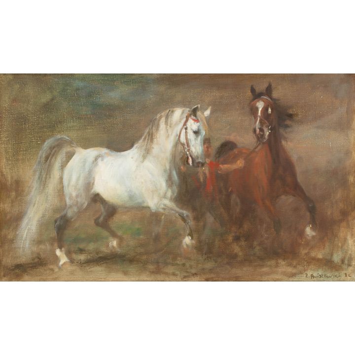 Zenon Aniszewski | Konie, 1986 r.