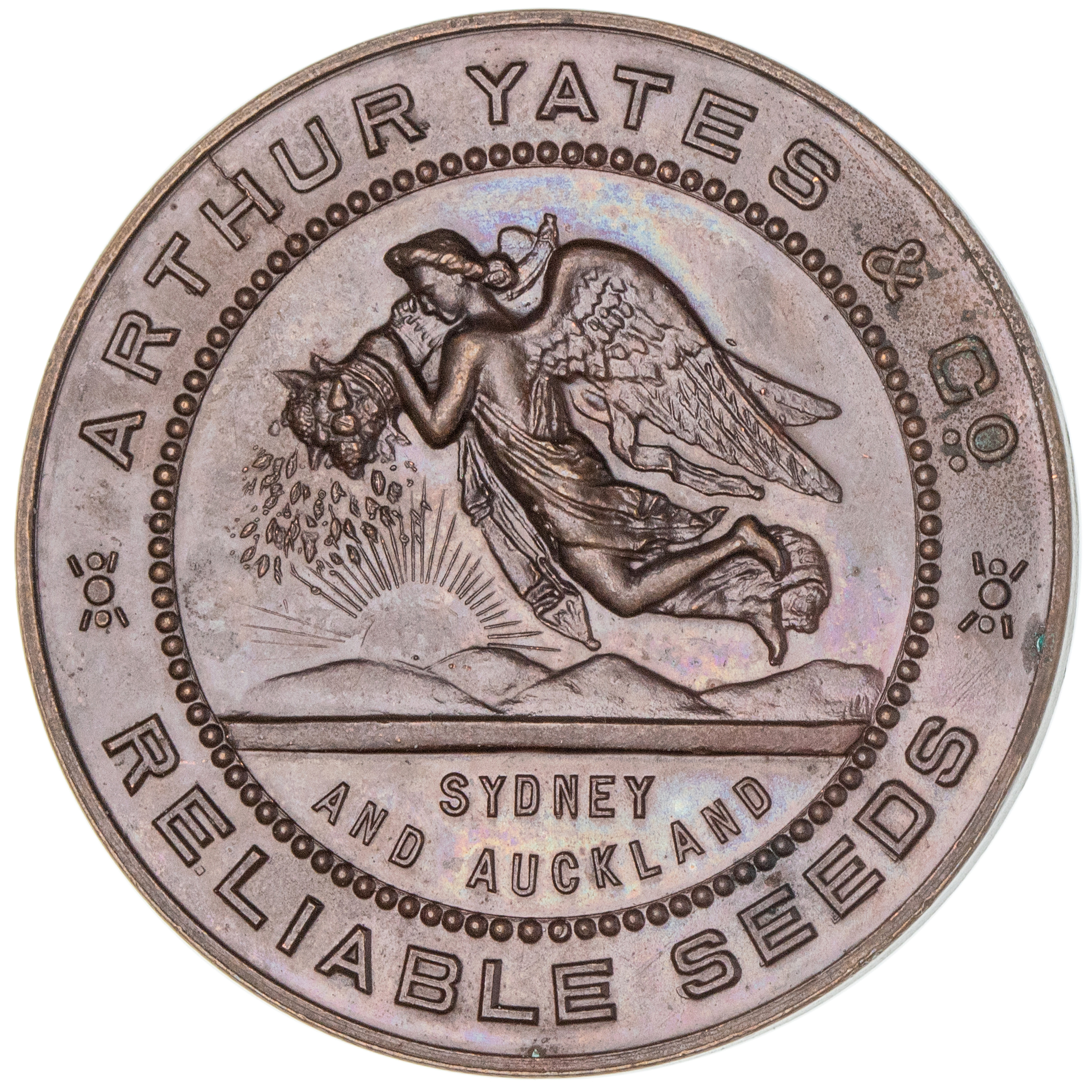 Arthur Yates Seeds, Australasia, Bronze Award Medal, 1924, aUNC