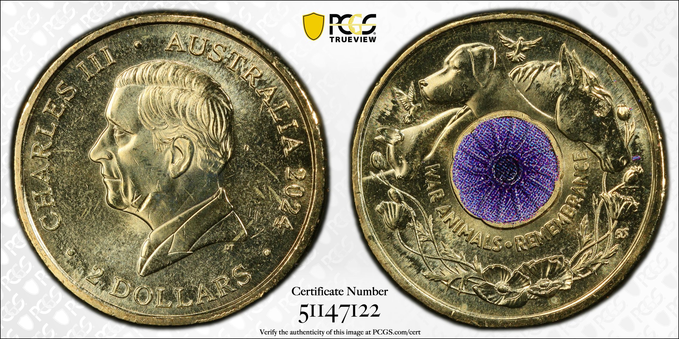 War Animal Remembrance Colorized , Two Dollar, 2024, PCGS MS64