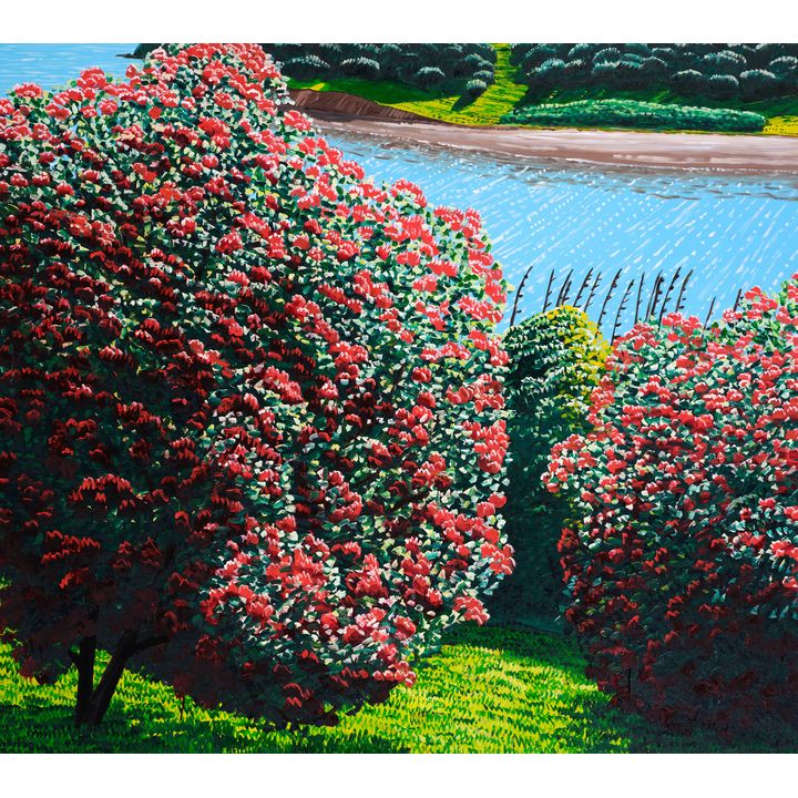 Karl Maughan 'Matiatia Bay'