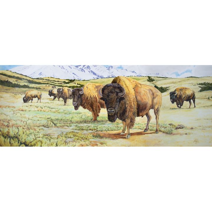 Untitled (Bison) by Craig Magill (20th/21st Century)