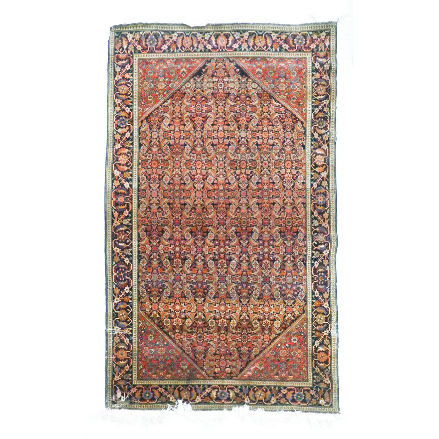 Sarouk/Northern Persia/Agra Oriental Rug