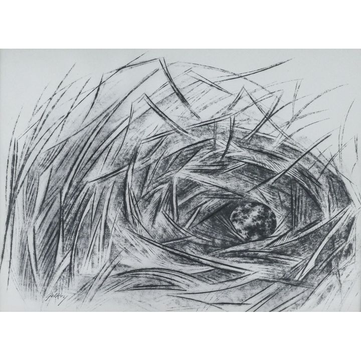 Richard Gilkey ''Drawing #24'' (Bird Nest) Charcoal