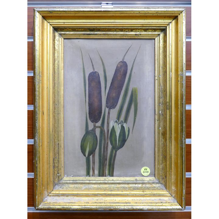 Victorian Cattails Oil on Canvas Framed- 16x12''