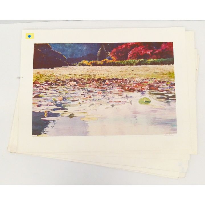 20pc Kent Lovelace ''Ruby Lake'' Prints & Test Prints.