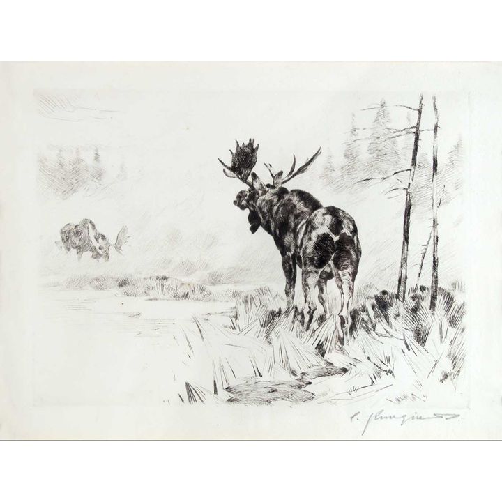 Rivals by Carl Rungius (1869-1959)