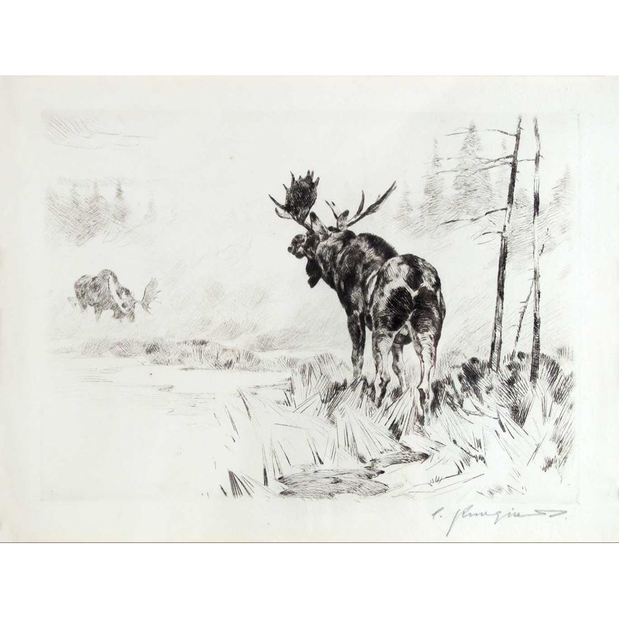 Rivals by Carl Rungius (1869-1959)