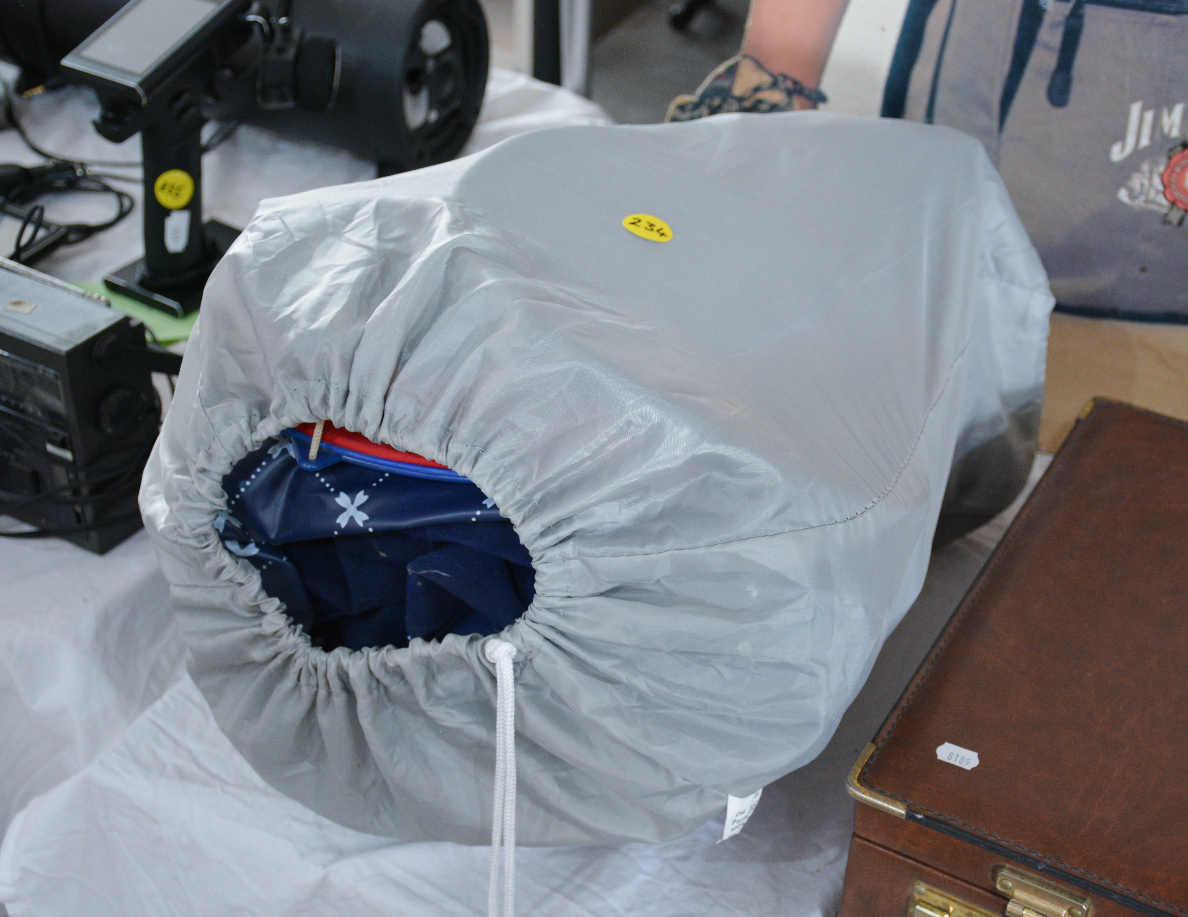 Inflatable Mattress and Bag — NZ auction result