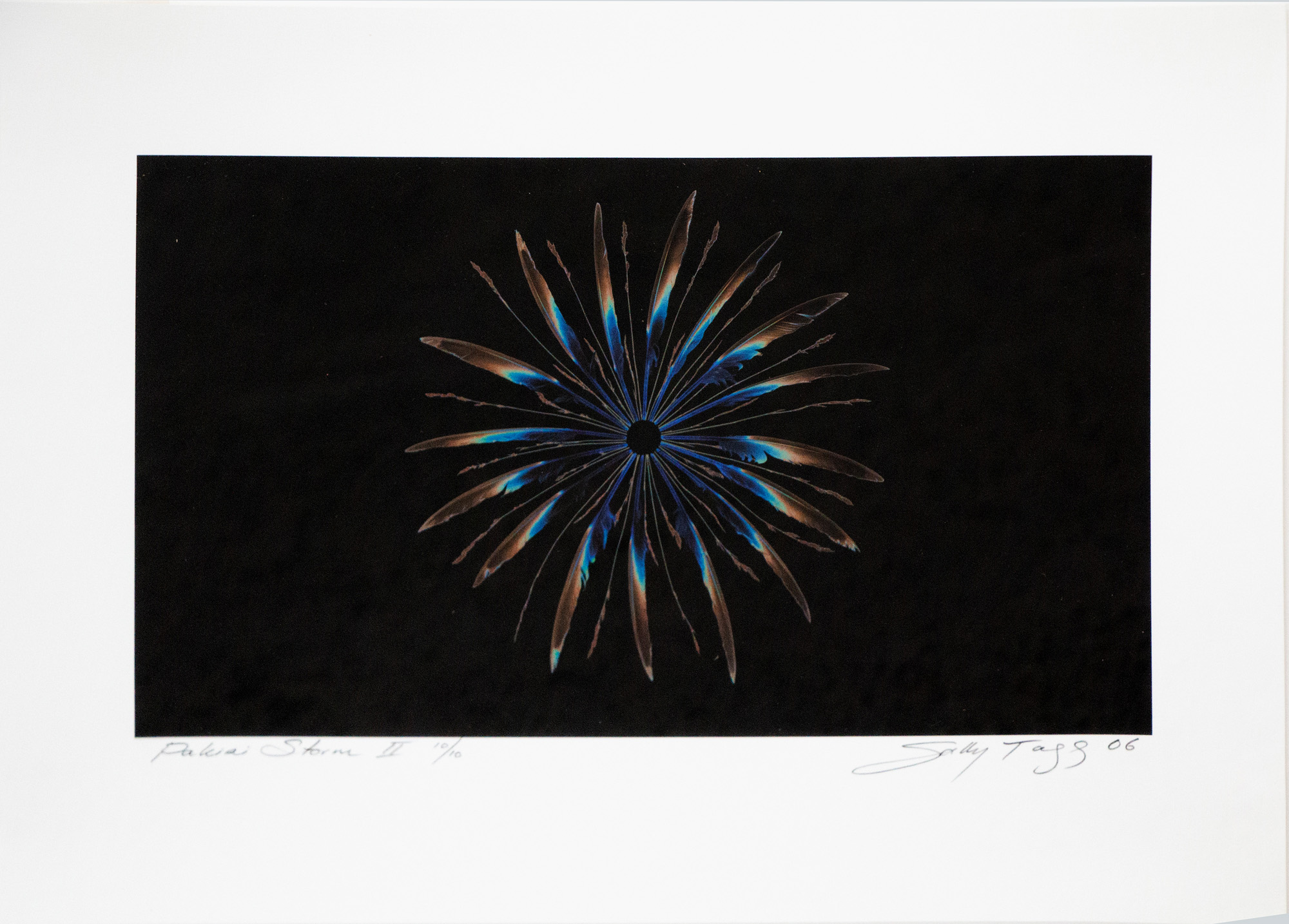 Sally Tagg 'Pakiri Storm II' — sold at auction in New Zealand for $250