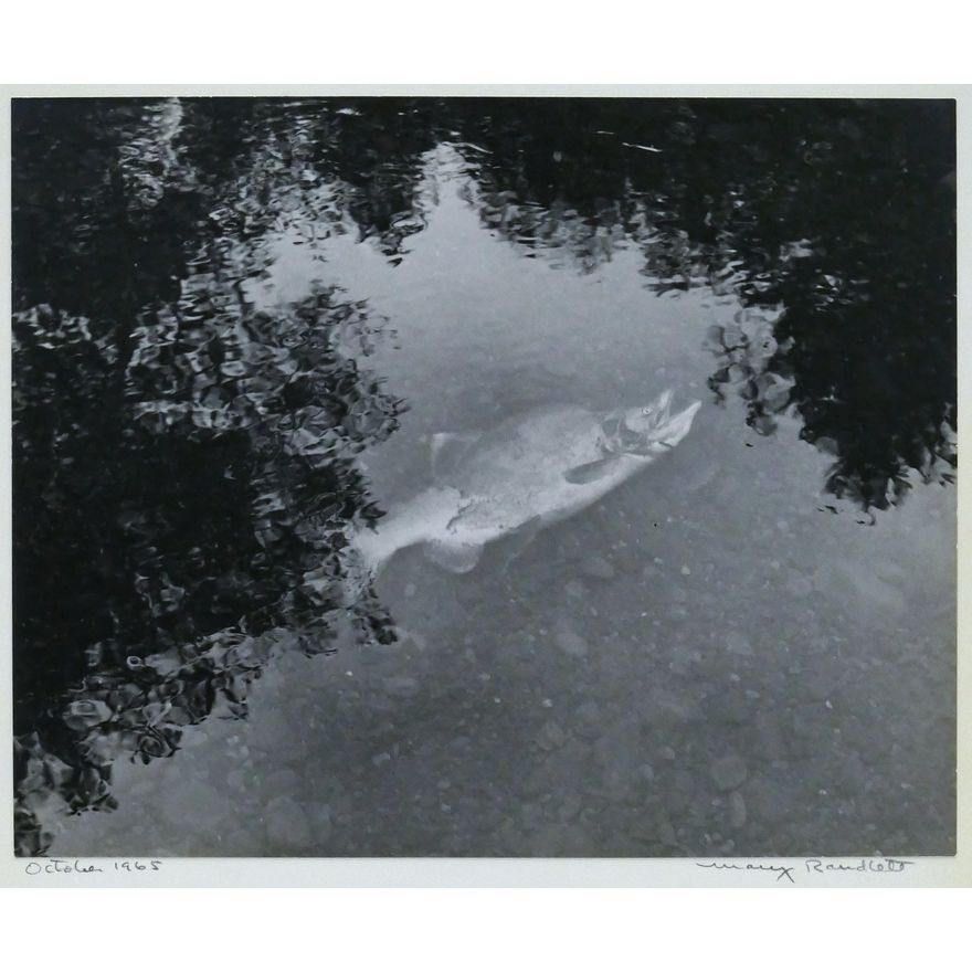 Mary Randlett ''October 1965'' (Salmon) Photograph Mounted 14''x11''