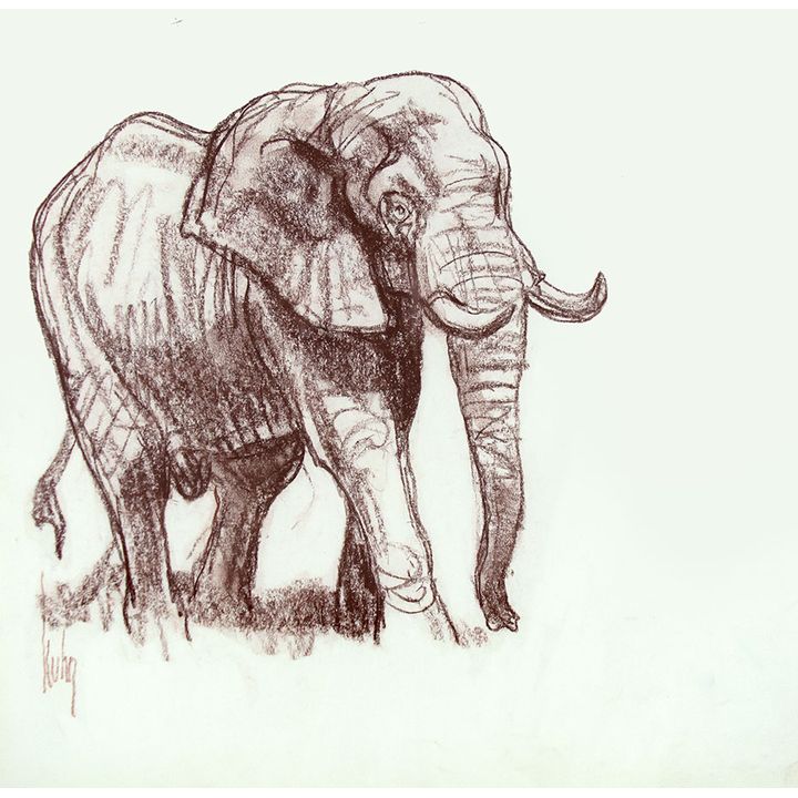 Bob Kuhn (1920-2007), Elephant