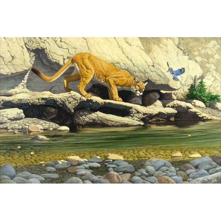 Don Rodell (1932-2003) Territorial Dispute